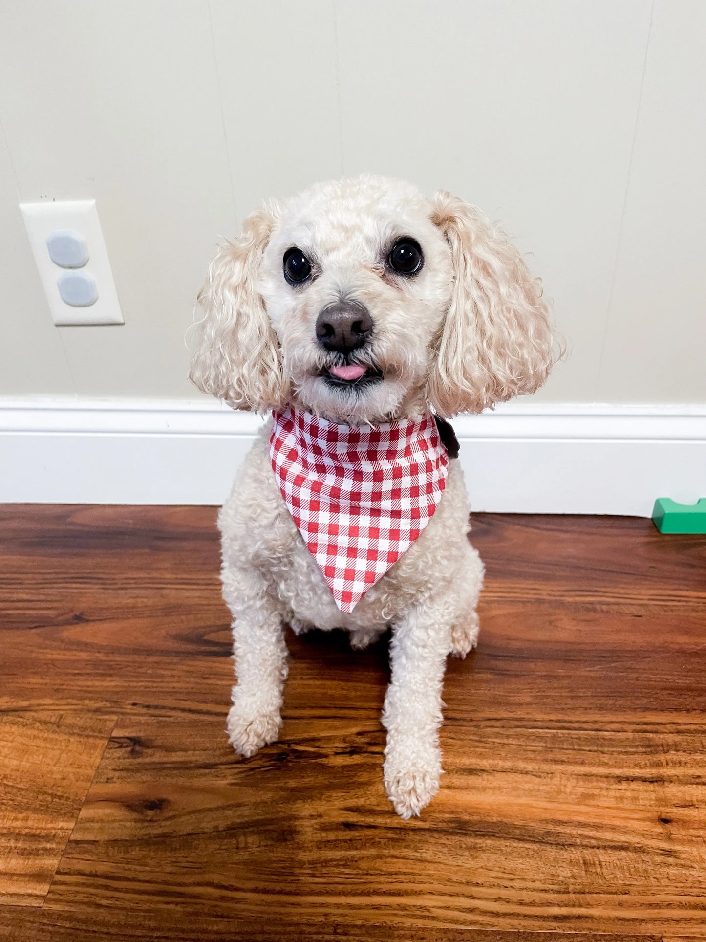 Reversible Dog Bandana